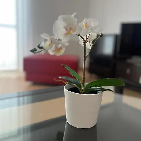 Wola Business Center 华沙