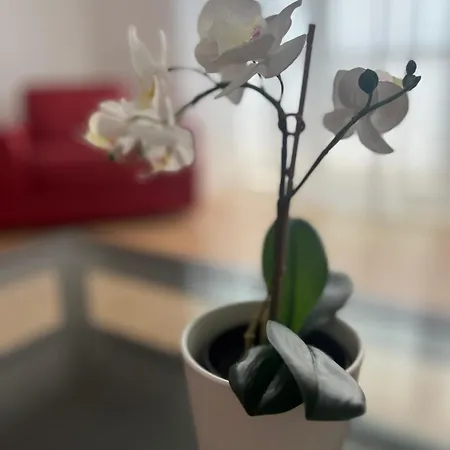 Wola Business Center * 华沙